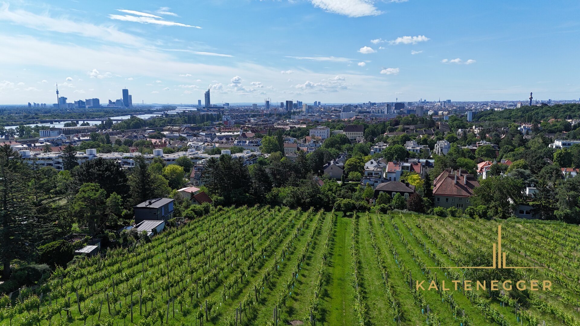 Grundstück zum Kauf 2.900.000 € 981 m²<br/>Grundstück Wien 1190