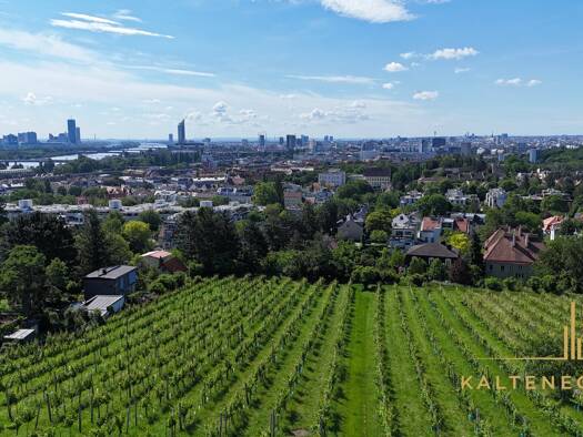 Grundstück zum Kauf 2.900.000 € 981 m² Grundstück Wien 1190