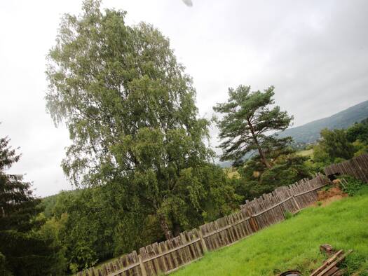 Haus zum Kauf 48.900 € 4 Zimmer 499 m² Grundstück frei ab sofort Wasungen 98634