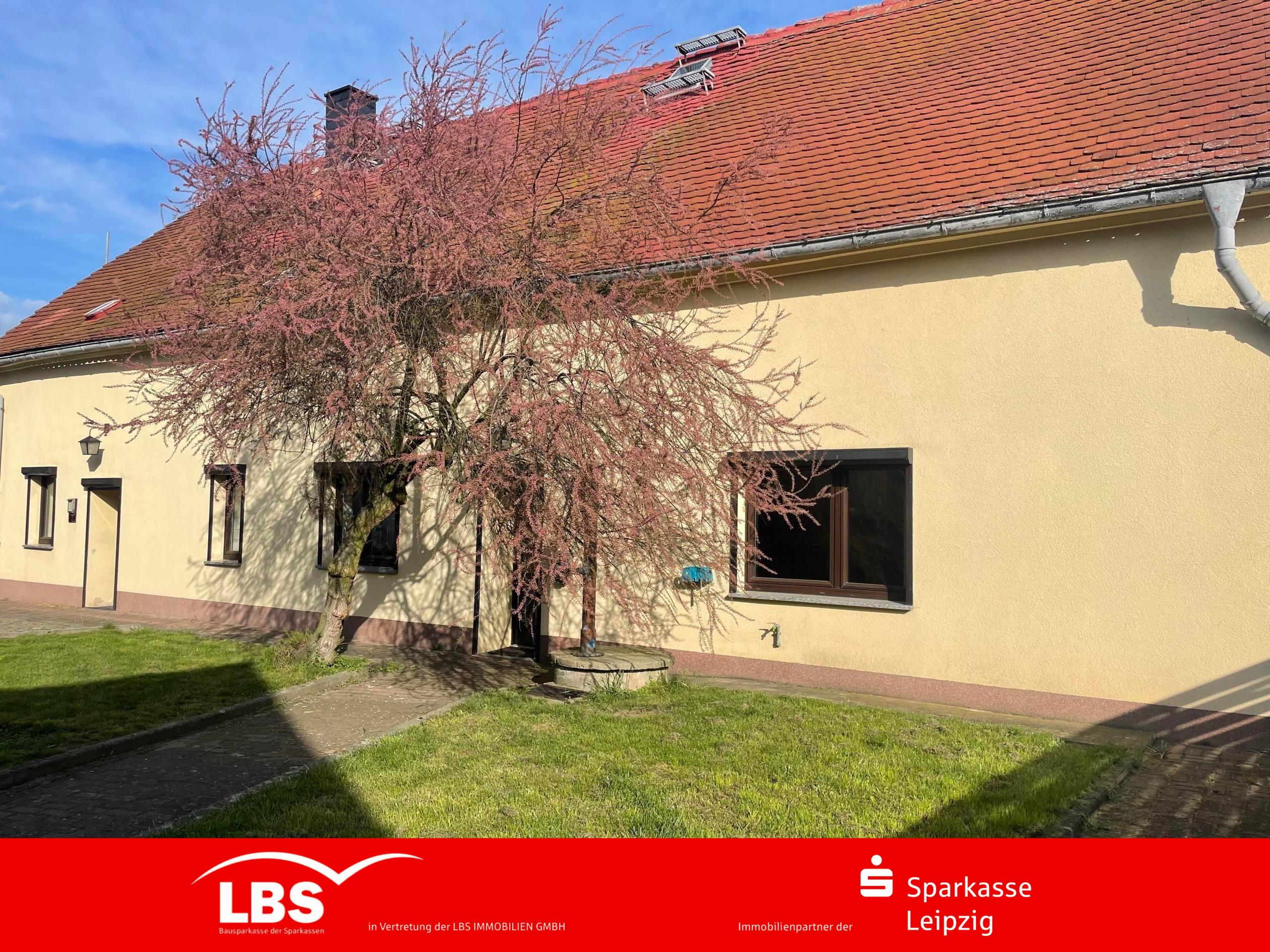 Bauernhaus zum Kauf 175.000 € 6 Zimmer 120 m²<br/>Wohnfläche 856 m²<br/>Grundstück Glaucha Zschepplin 04838