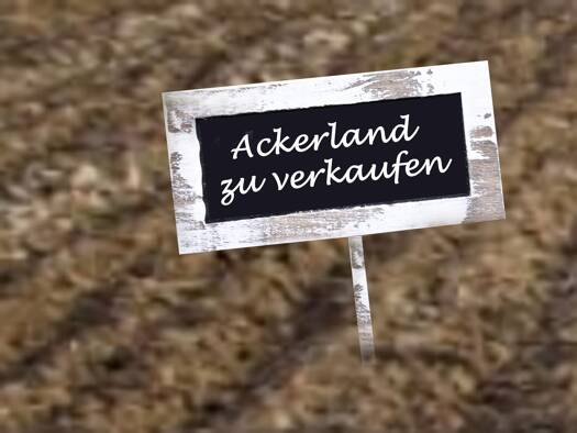 Landwirtschaftliche Fläche zum Kauf 144.900 € 8.087 m² Grundstück Ringsee Ingolstadt 85053
