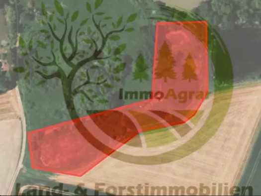 Land-/Forstwirtschaft zum Kauf 65.000 € 9.942 m² 9.942 m² Grundstück Mittelhammer Stadtsteinach 95346