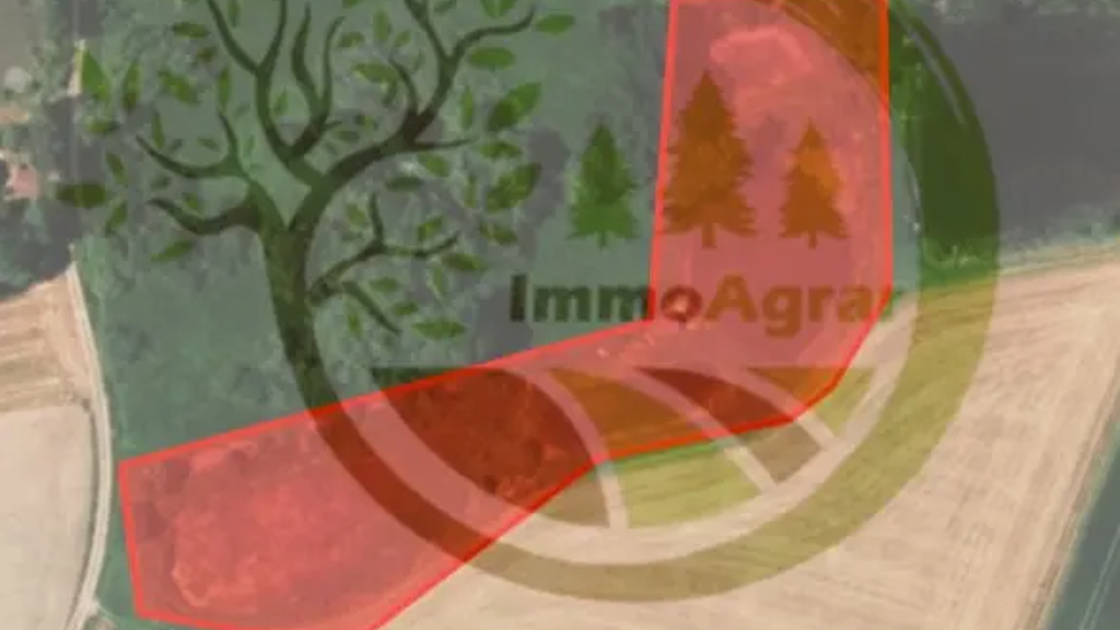 Land-/Forstwirtschaft zum Kauf 65.000 € 9.942 m² 9.942 m² Grundstück Mittelhammer Stadtsteinach 95346