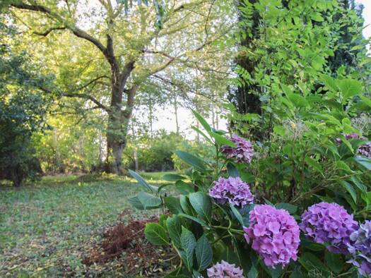 Grundstück zum Kauf 59.900 € 1.350 m² Grundstück Bussin Velgast 18469