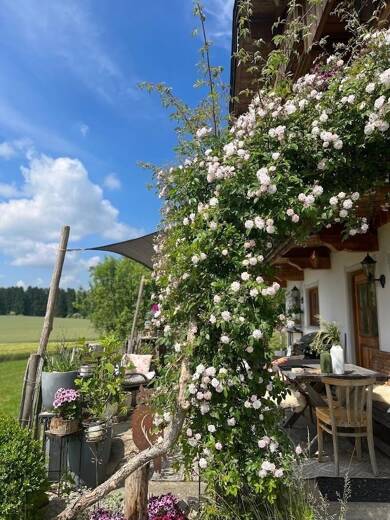 Mehrfamilienhaus zum Kauf 2.380.000 € 530 m² 4.146 m² Grundstück Hochreit Aßling 85617