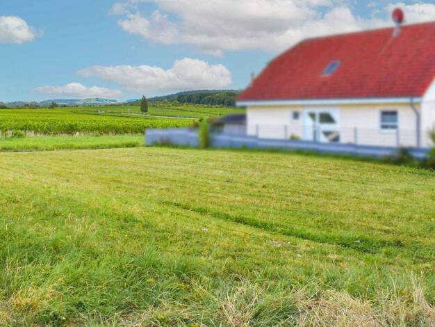 Grundstück zum Kauf 750.000 € 906,1 m² Grundstück Malsch 69254