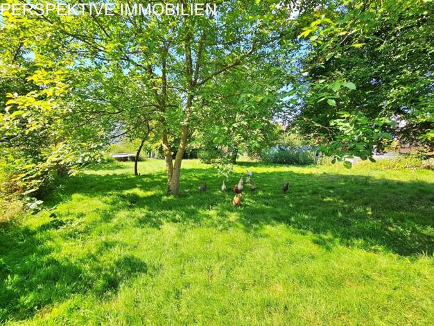Grundstück zum Kauf 127.000 € 537 m² Grundstück Bad König Bad König 64732