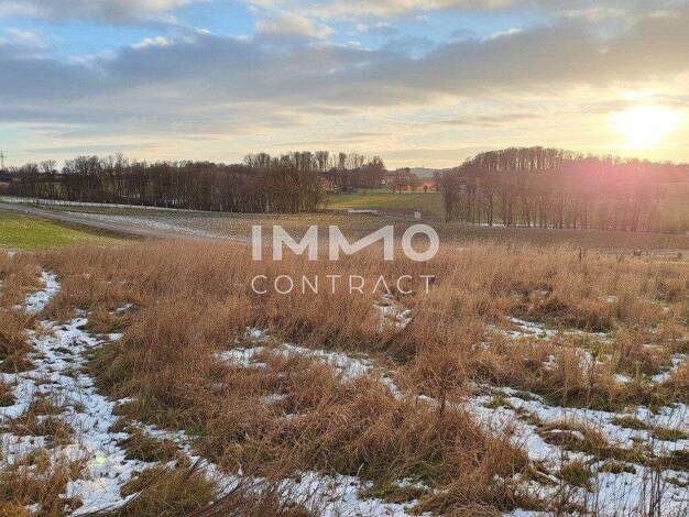 Grundstück zum Kauf 175.940 € 926 m² Grundstück Am Südhang Wieselburg 3250