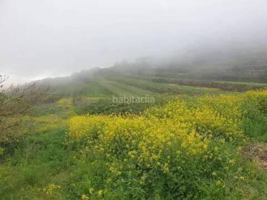 Acker-/Waldstück zum Kauf 33.000 € El Rosario 38109