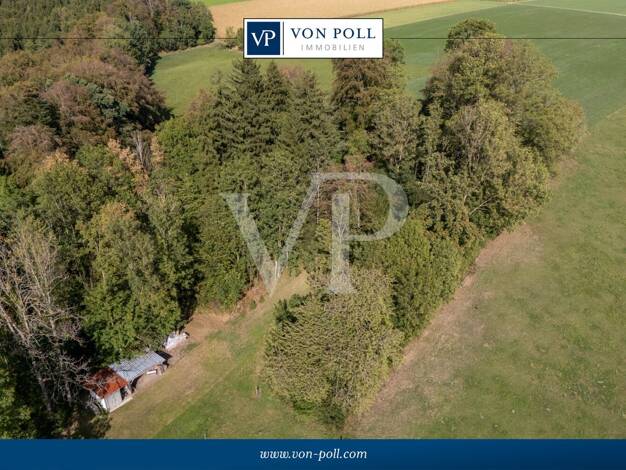 Land-/Forstwirtschaft zum Kauf 60.000 € 6.285 m² Grundstück Apfeltrach Apfeltrach 87742