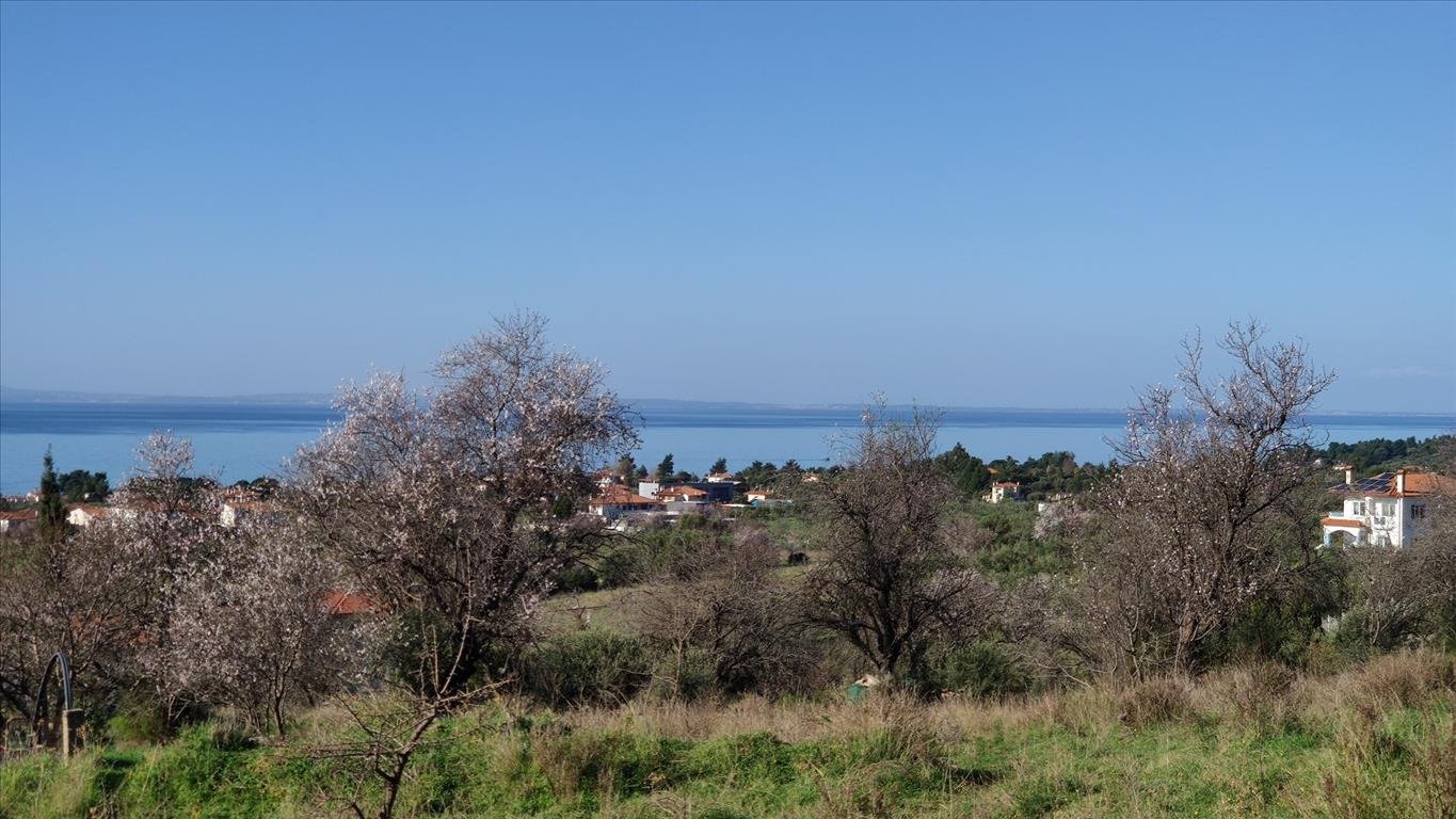 Land-/Forstwirtschaft zum Kauf 285.000 € 1.000 m²<br/>Grundstück Chalkidiki