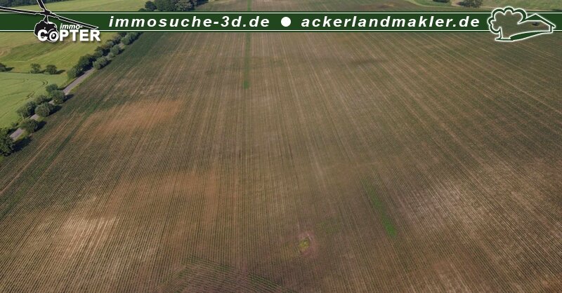 Land-/Forstwirtschaft zum Kauf 89.426 m²<br/>Grundstück Neu Farpen Neuburg 23974