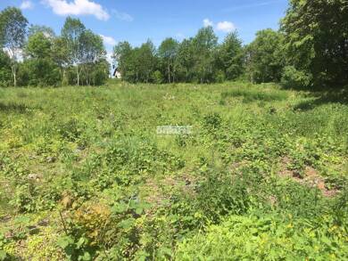 Gewerbegrundstück zum Kauf 1.250.000 € 4.163 m² Grundstück Industriegebiet Nord Weimar 99427
