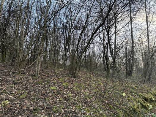 Acker-/Waldstück zum Kauf 22.000 € Jazvenik, Sisak - Okolica Sisak 44000