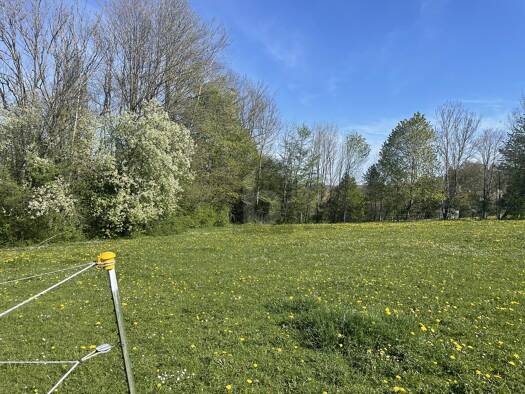 Freizeitgrundstück zum Kauf 205.000 € 2.000 m² Grundstück Kempfenhausen Berg 82335