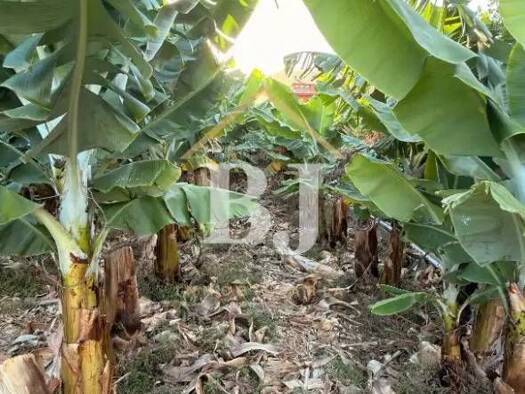 Acker-/Waldstück zum Kauf 140.000 € Los Silos 38470