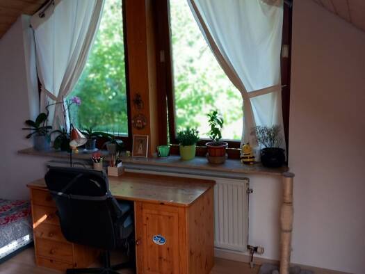 Wohnung zur Miete 650 € 1 Zimmer 55 m² Geschoss 1/2 frei ab sofort Dettenhausen 72135