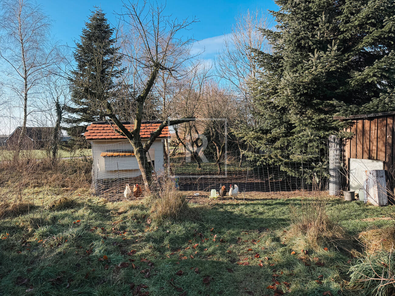 Haus zum Kauf - Ansicht 6
