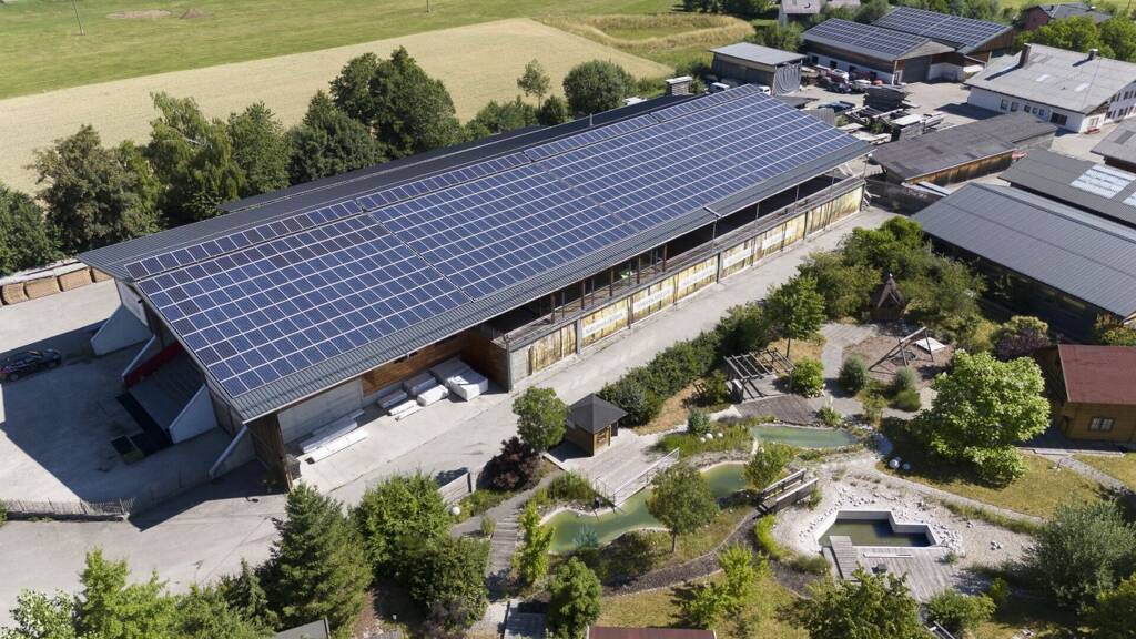 Halle/Industriefläche zum Kauf provisionsfrei 3.800.000 € 730,8 m² Lagerfläche Neckreith Palting 5163