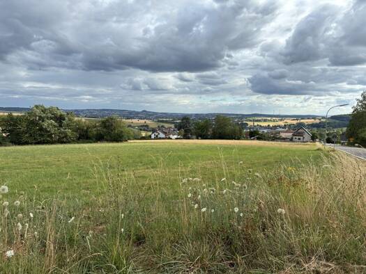 Land-/Forstwirtschaft zum Kauf 8.000 € 3.880 m² Grundstück Eiweiler Heusweiler 66265