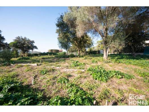 Acker-/Waldstück zum Kauf 995.000 € Sant Cugat del Vallès 08197