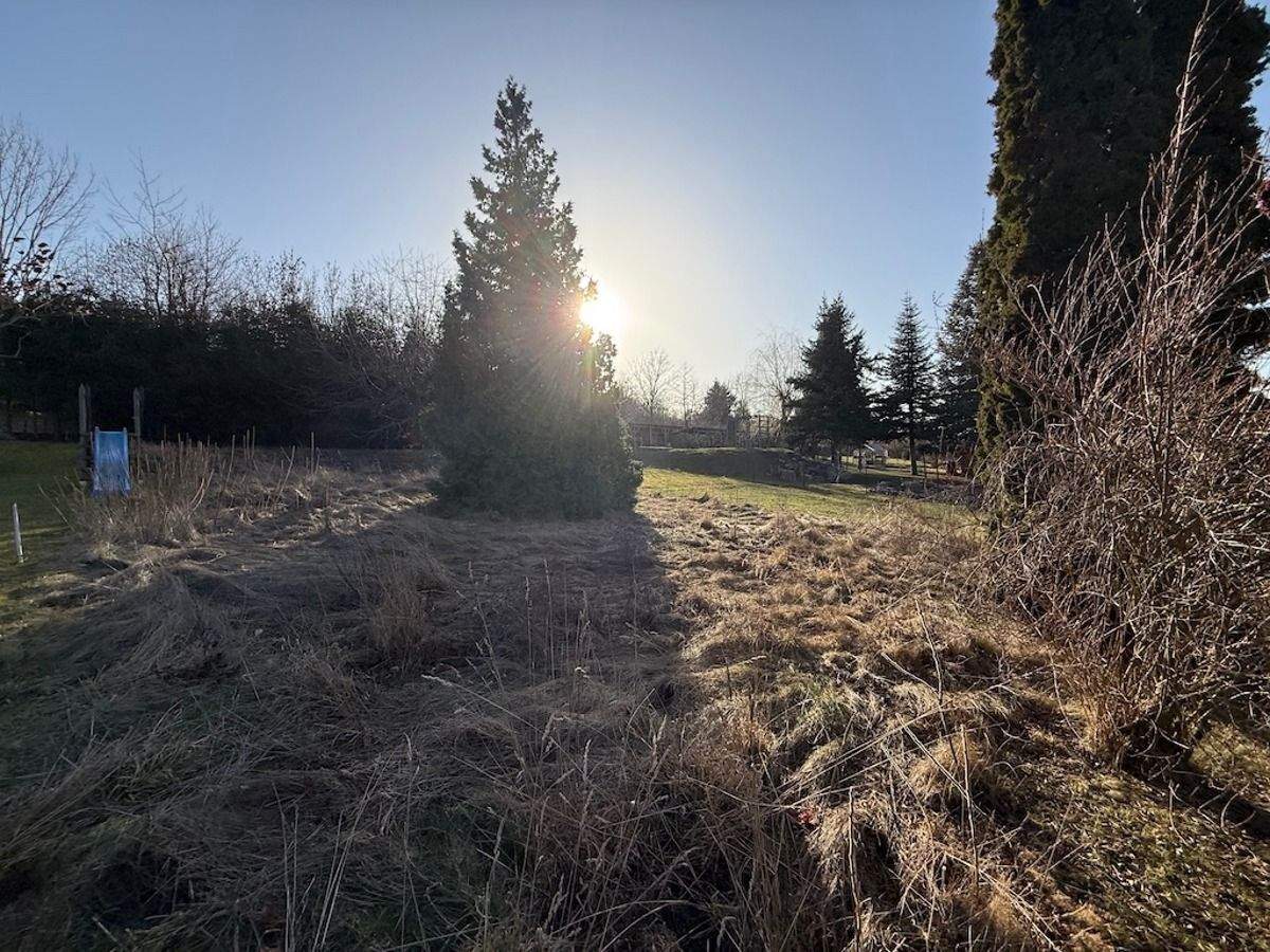 Immobilie in Ballenstedt - Einfamilienhaus mit sonnigem Grundstück in Rieder zu verkaufen. - Bild 1