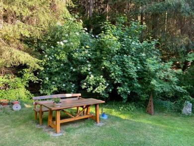 Haus zum Kauf provisionsfrei 549.900 € 7 Zimmer 283 m² 1.159 m² Grundstück Warmensteinach Warmensteinach 95485