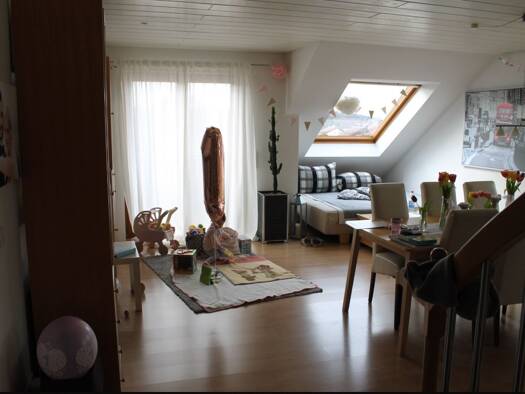 Maisonette zur Miete 740 € 2,5 Zimmer 68 m² Geschoss 3/4 frei ab 15.11.2025 Hochdorf 73269