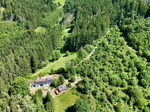 Einfamilienhaus zum Kauf 459.000 € 6 Zimmer 195 m² 25.130 m² Grundstück Seffern 54636