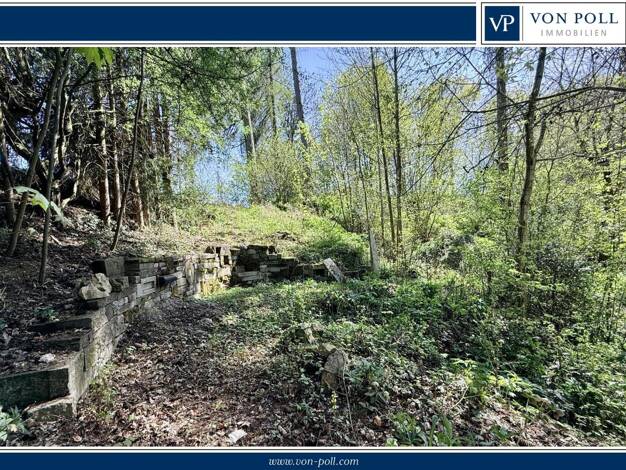 Freizeitgrundstück zum Kauf 58.000 € 4.635 m² Grundstück Mittelbiberach Mittelbiberach 88441