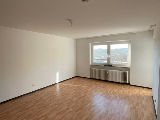 Wohnung zur Miete 409 € 1 Zimmer 42 m² 2. Geschoss Rodauer Weg 29 Pielmühle Lappersdorf 93138