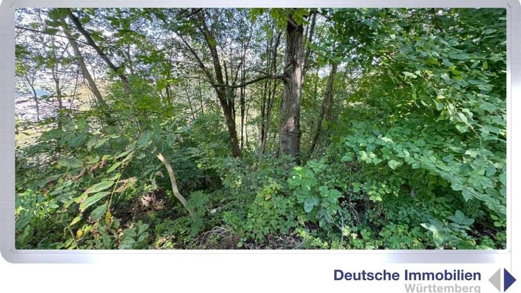 Grundstück zum Kauf 3.500 € 710 m² Grundstück Schnait Weinstadt 71384