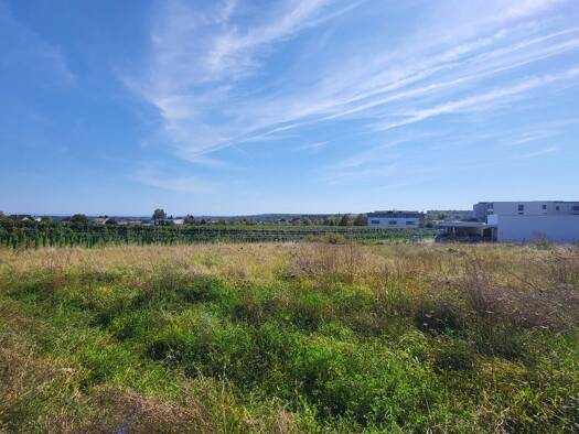 Grundstück zum Kauf 390.000 € 864 m² Grundstück Langenlois 3550