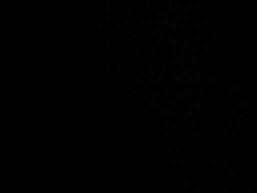 Wohnung zur Miete 1.000 € 4 Zimmer 90 m² Geschoss 2/3 frei ab sofort Dulsberg Hamburg 22049