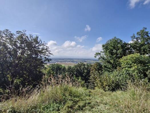 Grundstück zum Kauf 85.000 € 510 m² Grundstück Lustenau Linz 4020