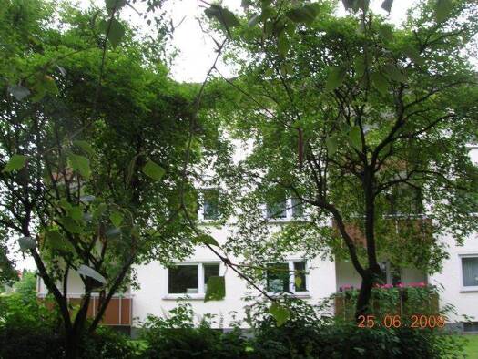 Wohnung zur Miete 579 € 3 Zimmer 72 m² 2. Geschoss Oststraße 20 Werl-Aspe Bad Salzuflen 32107