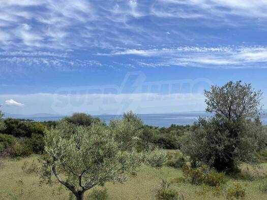 Landwirtschaftliche Fläche zum Kauf 520.000 € Vatopedi