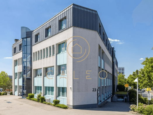 Bürofläche zur Miete provisionsfrei 10 € 435 m² Bürofläche teilbar ab 435 m² Raunheim 65479