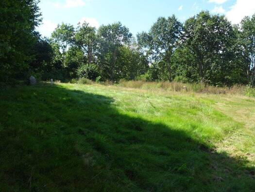 Grundstück zum Kauf 349.000 € 981 m² Grundstück Alte Siedlung Grönwohld 22956
