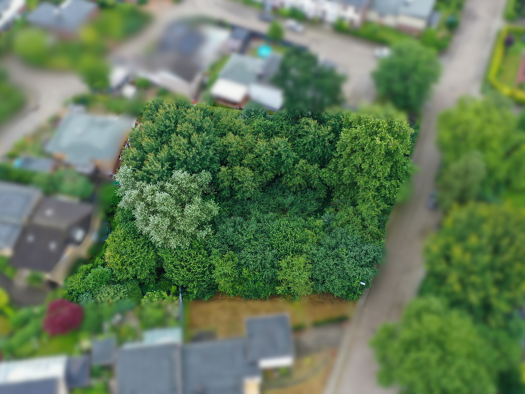 Grundstück zum Kauf 729.000 € 1.666 m² Grundstück Baugenehmigung vorhanden Buxtehude 21614