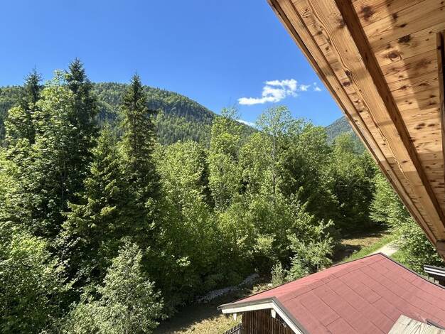 Mehrfamilienhaus zum Kauf 1.300.000 € 13 Zimmer 298,7 m² 1.360 m² Grundstück Berchtesgadener Straße 10 Weißbach Schneizlreuth 83458