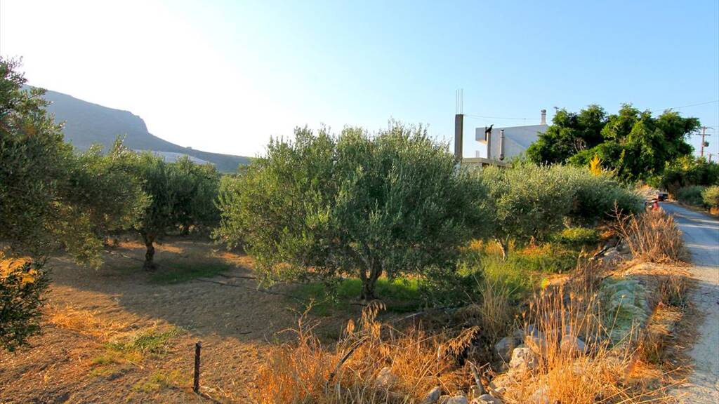 Land-/Forstwirtschaft zum Kauf 180.000 € 1.800 m² Grundstück Kreta