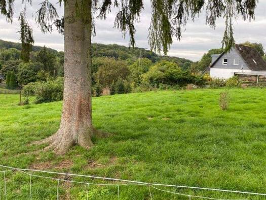 Grundstück zum Kauf provisionsfrei 180.000 € 1.800 m² Grundstück Baugenehmigung vorhanden Scheel Lindlar 51789