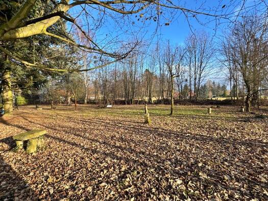 Grundstück zum Kauf 99.000 € 2.719 m² Grundstück Kurort Gohrisch Gohrisch 01824