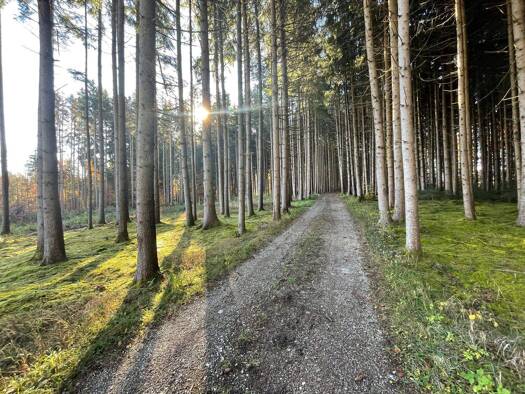 Grundstück zum Kauf 700.000 € 89.710 m² Grundstück frei ab sofort Netterndorf Baiern 85625