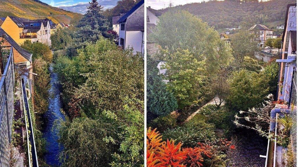 Mehrfamilienhaus zum Kauf 229.000 € 10 Zimmer 171 m² 101 m² Grundstück Enkirch Enkrich 56850