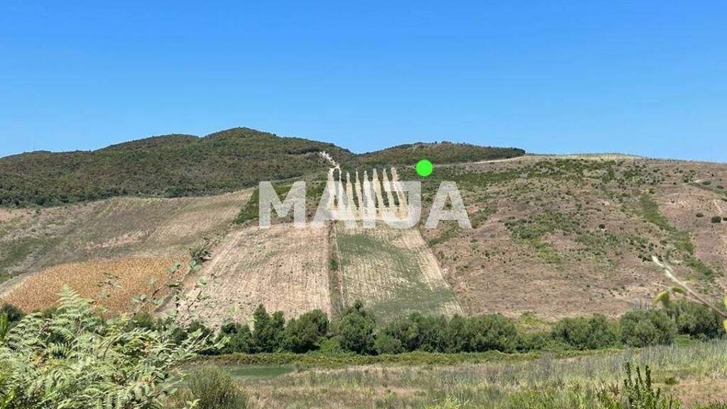 Grundstück zum Kauf 100.000 € 1.000 m² Grundstück Kavaja 2500 Bard