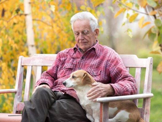 Terrassenwohnung zum Kauf provisionsfrei 429.000 € 2 Zimmer 57,2 m² EG Alemannenstraße 11/2 Holzgerlingen 71088