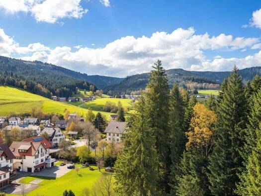 Studio zum Kauf 65.000 € 1 Zimmer 44 m² 9. Geschoss Obertal Baiersbronn 72270