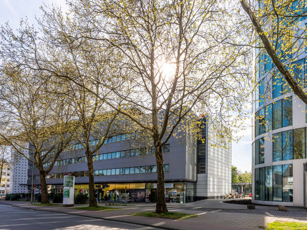 Bürofläche zur Miete 270 m² Bürofläche Geist Münster 48153